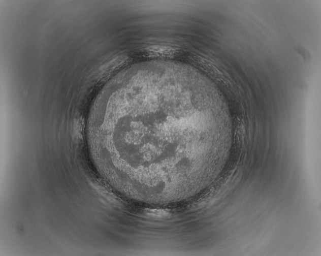 X0000115180649200911121801