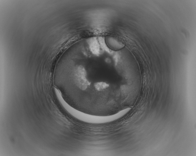 X0000115180650200911121801
