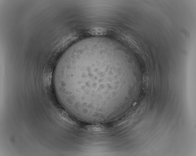 X0000115180652200911121801