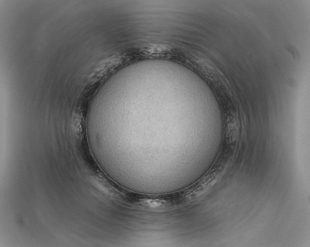 X0000115180654200911121801