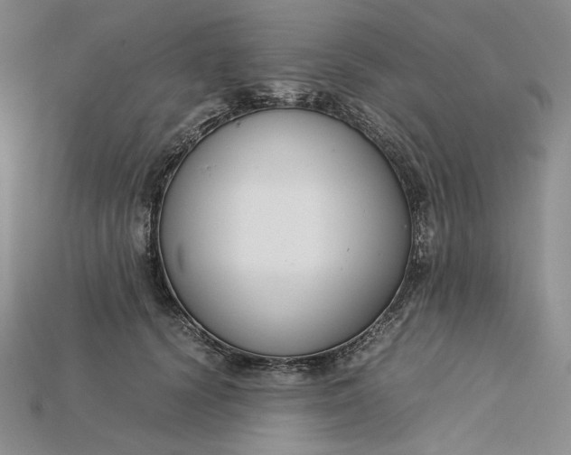 X0000115180656200911121802