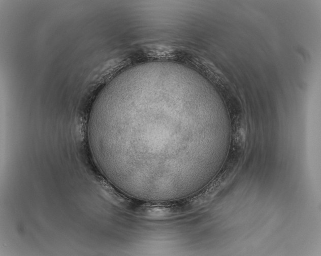 X0000115180658200911121802