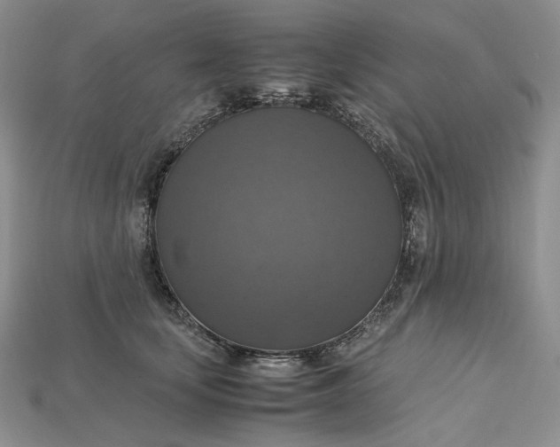 X0000115180659200911121802