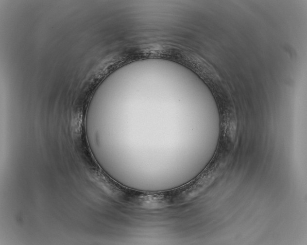 X0000115180660200911121802