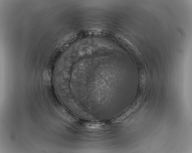 X0000115180661200911121802