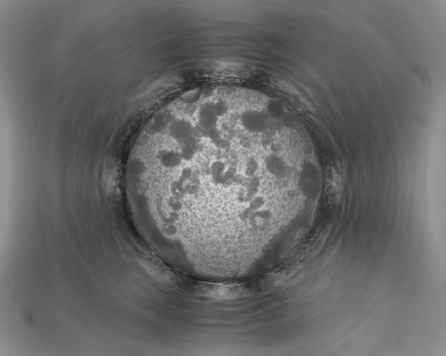 X0000115180663200911121802