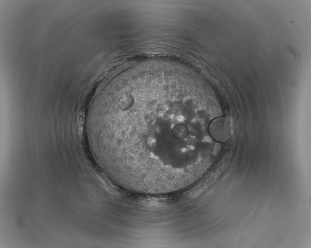 X0000115180664200911121802