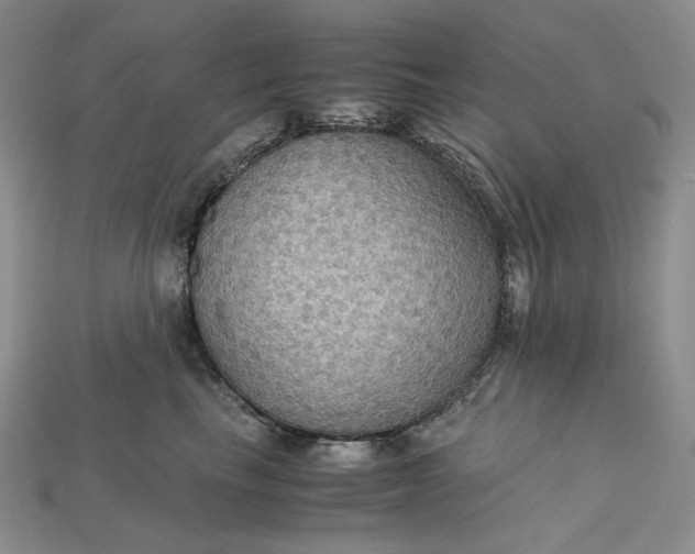 X0000115180665200911121802