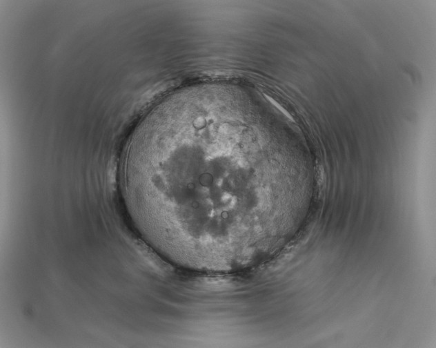 X0000115180668200911121802