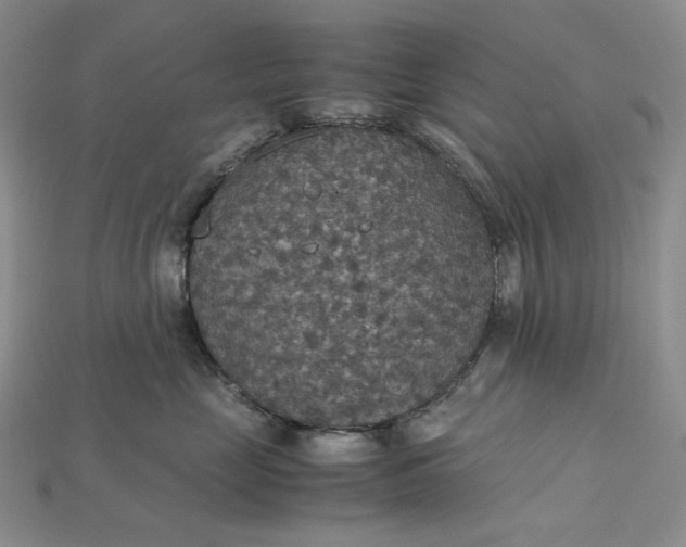X0000115180669200911121802