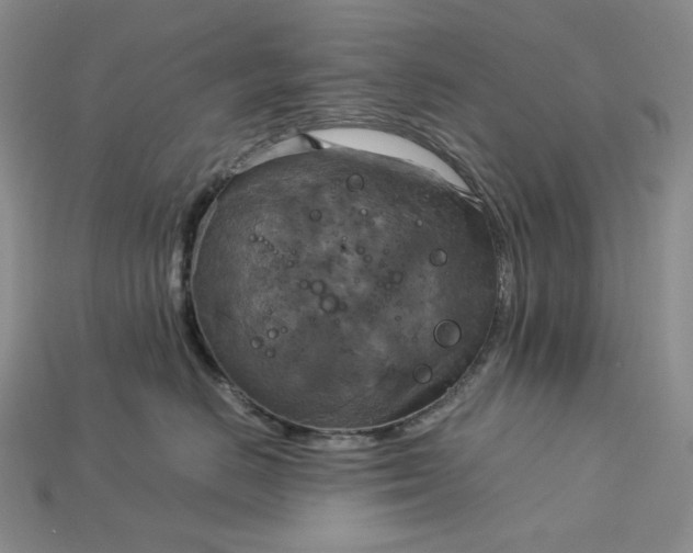 X0000115180670200911121802