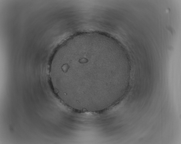X0000115180672200911121802