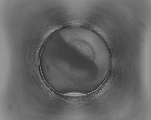 X0000115180673200911121801