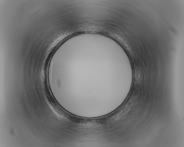 X0000115180674200911121801