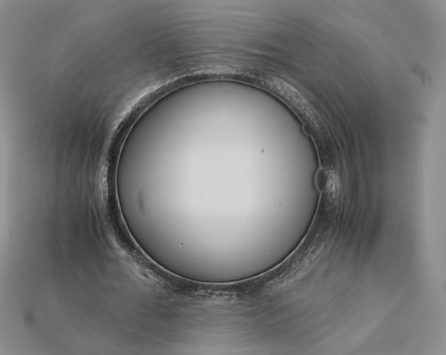 X0000115180676200911121801