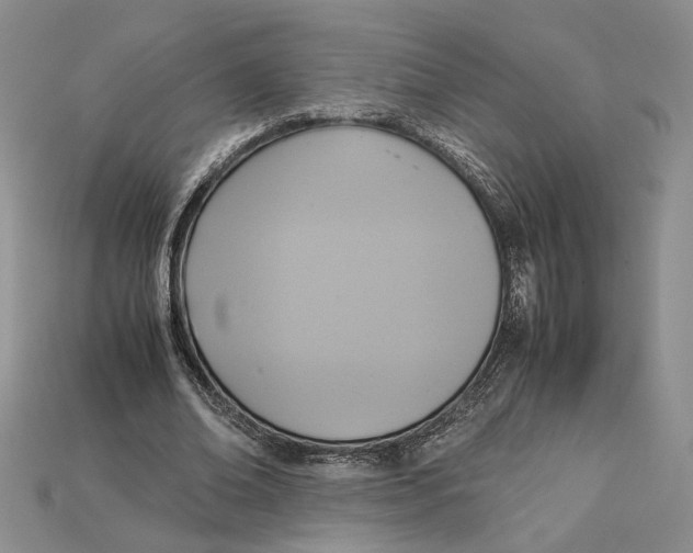 X0000115180678200911121801