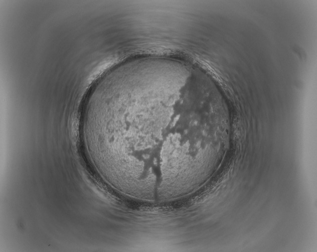 X0000115180679200911121801