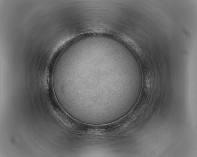 X0000115180680200911121801