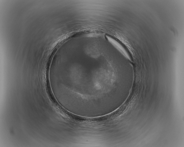 X0000115180681200911121801
