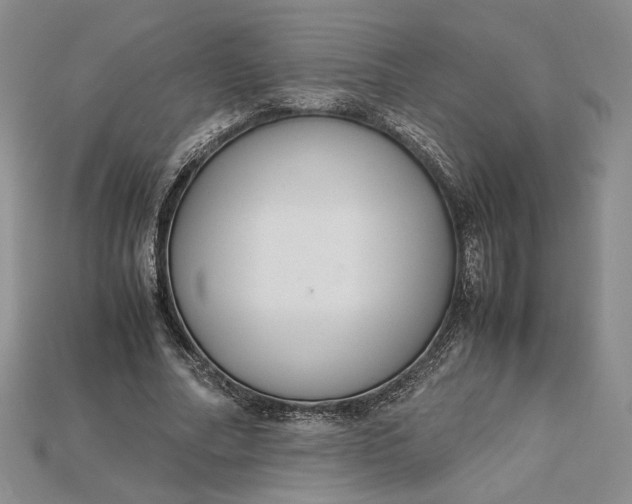 X0000115180682200911121801