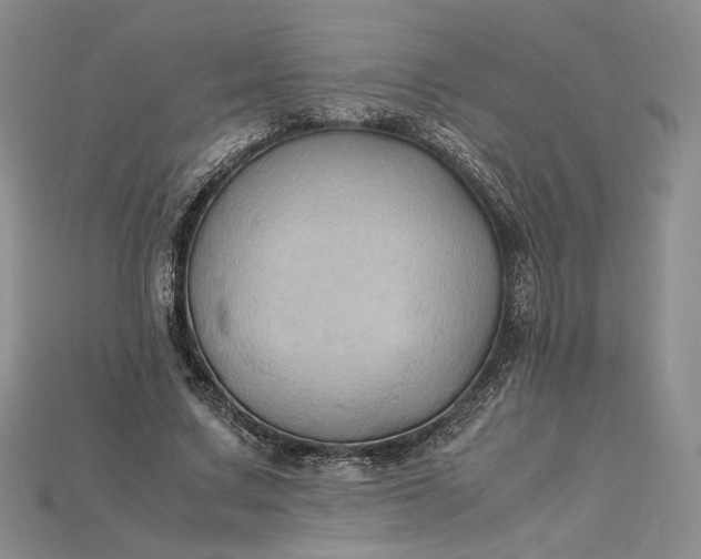 X0000115180683200911121801