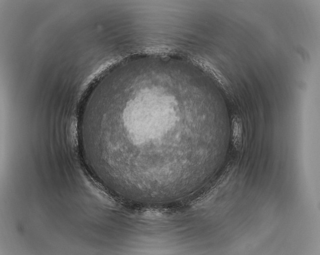 X0000115180684200911121801