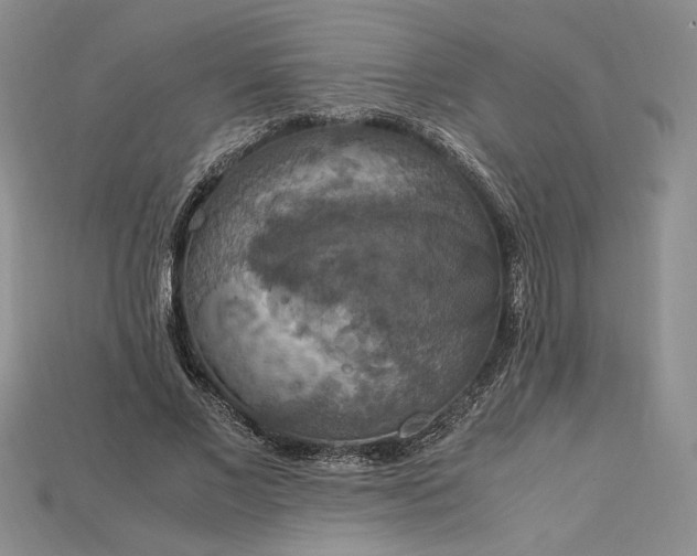 X0000115180685200911121801