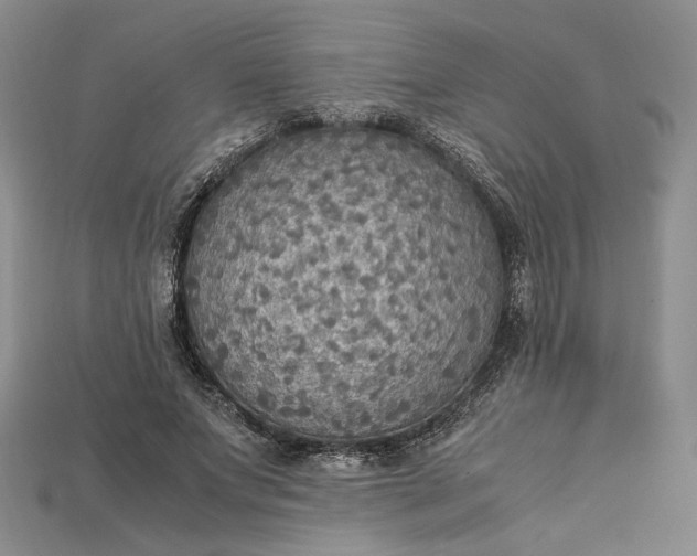 X0000115180687200911121801