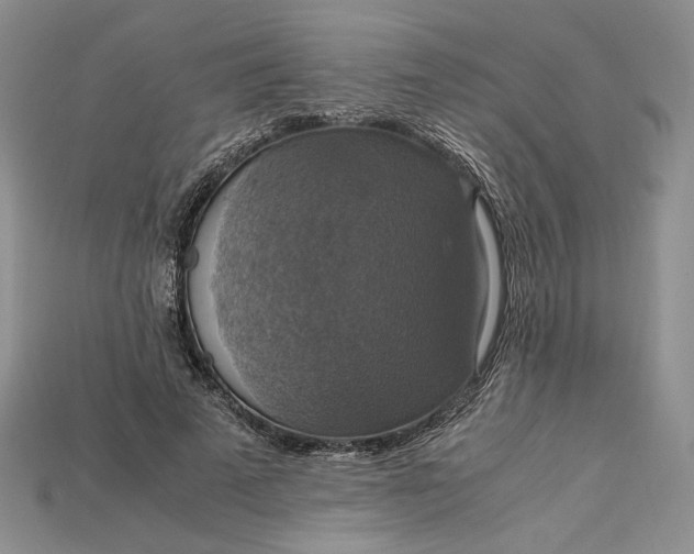 X0000115180689200911121801