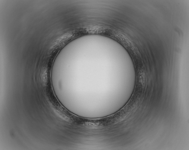 X0000115180690200911121801