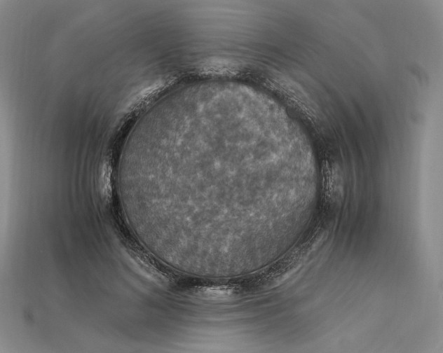 X0000115180692200911121801