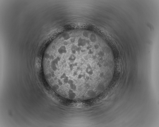X0000115180695200911121801