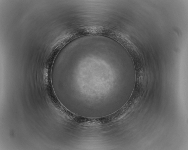 X0000115180696200911121801