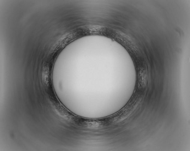 X0000115180698200911121801