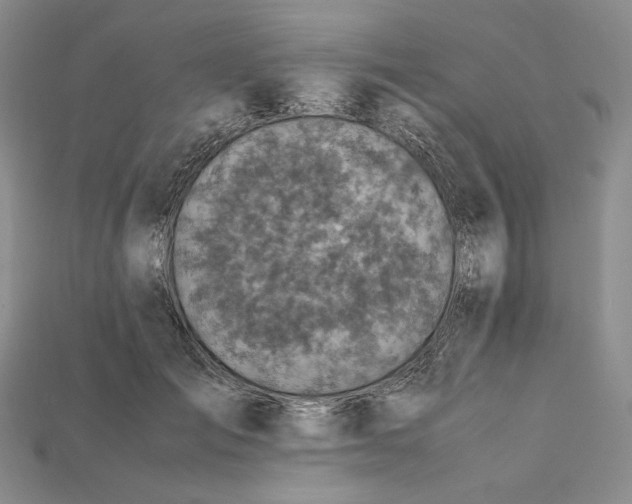 X0000115180701200911121801