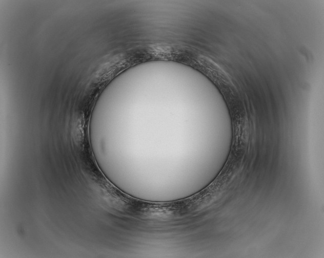 X0000115180702200911121801