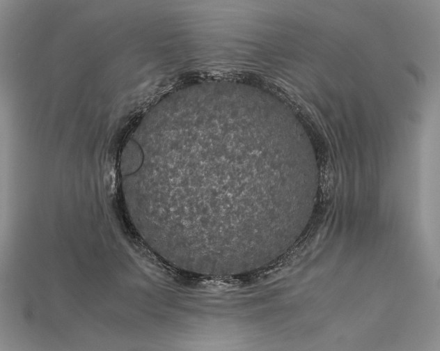X0000115180703200911121801