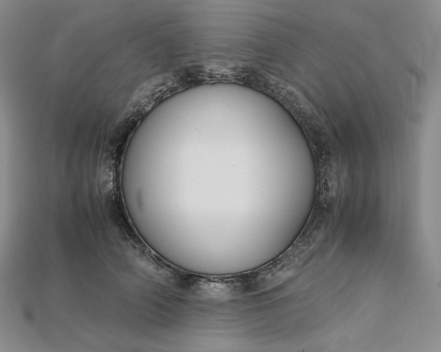 X0000115180706200911121801