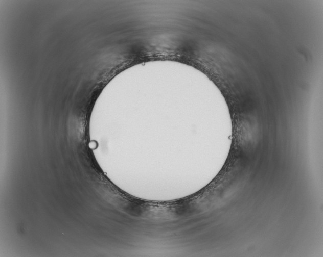 X0000115180709200911121801