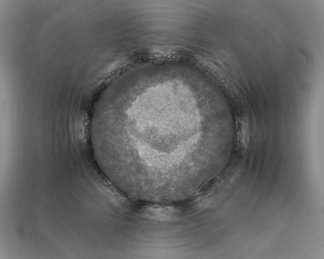 X0000115180712200911121801