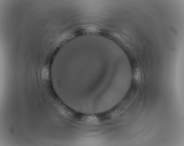 X0000115180715200911121800