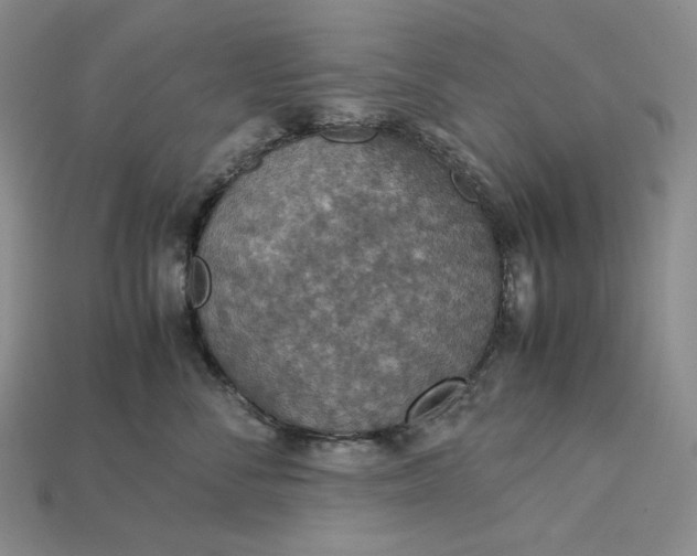 X0000115180716200911121800