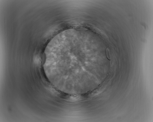 X0000115180720200911121800