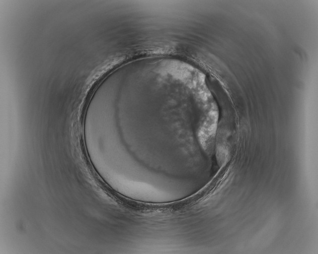 X0000115180721200911121800