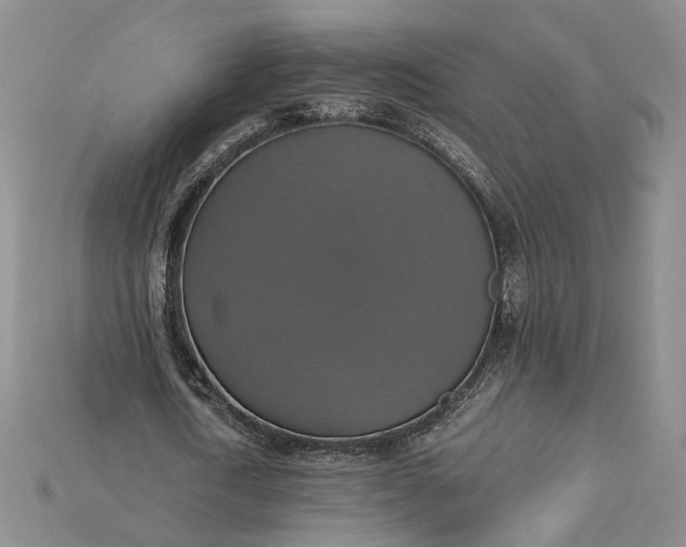 X0000115180722200911121800
