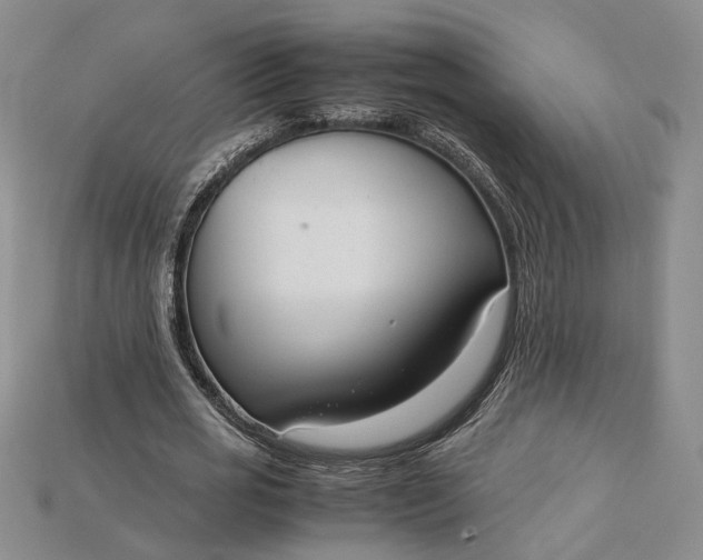 X0000115180725200911121800