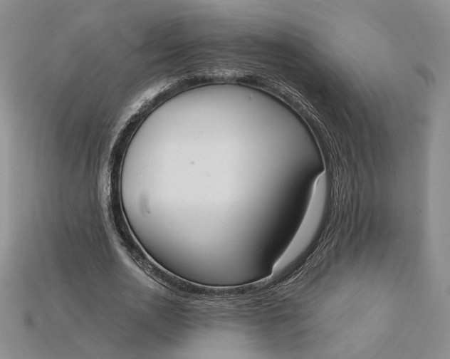 X0000115180726200911121800
