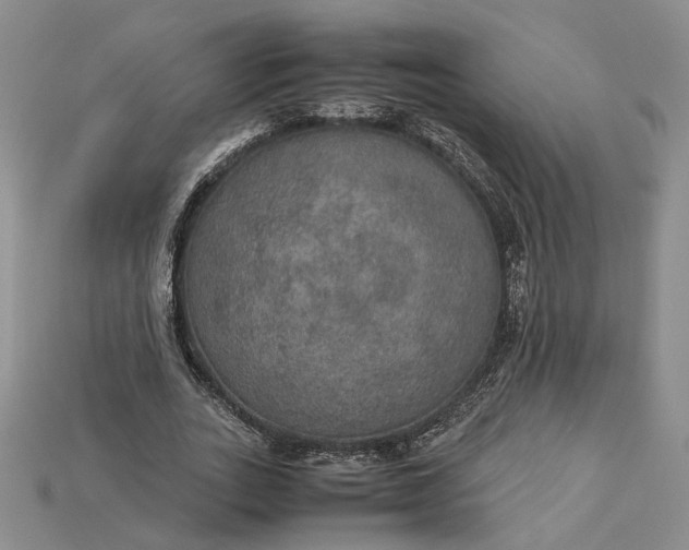 X0000115180727200911121800