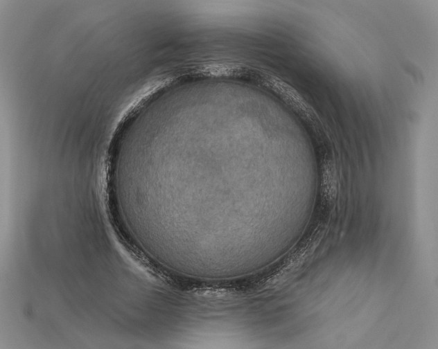 X0000115180730200911121800