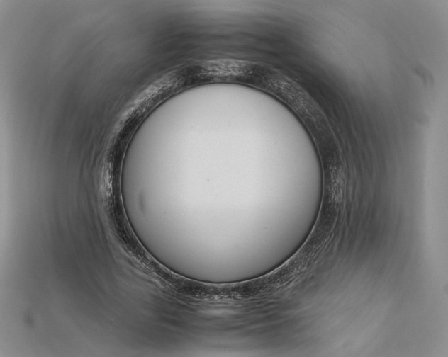 X0000115180731200911121800
